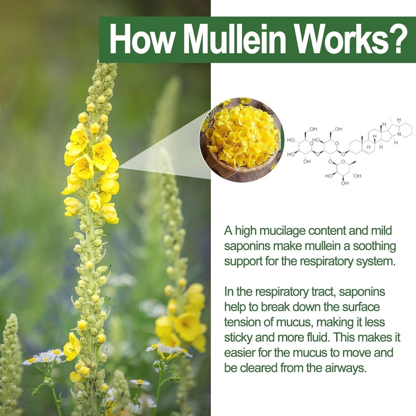 Mullein Lung Detox Gummies ~ Clear Mucus & Boost Respiratory Health