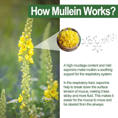 Mullein Lung Detox Gummies ~ Clear Mucus & Boost Respiratory Health